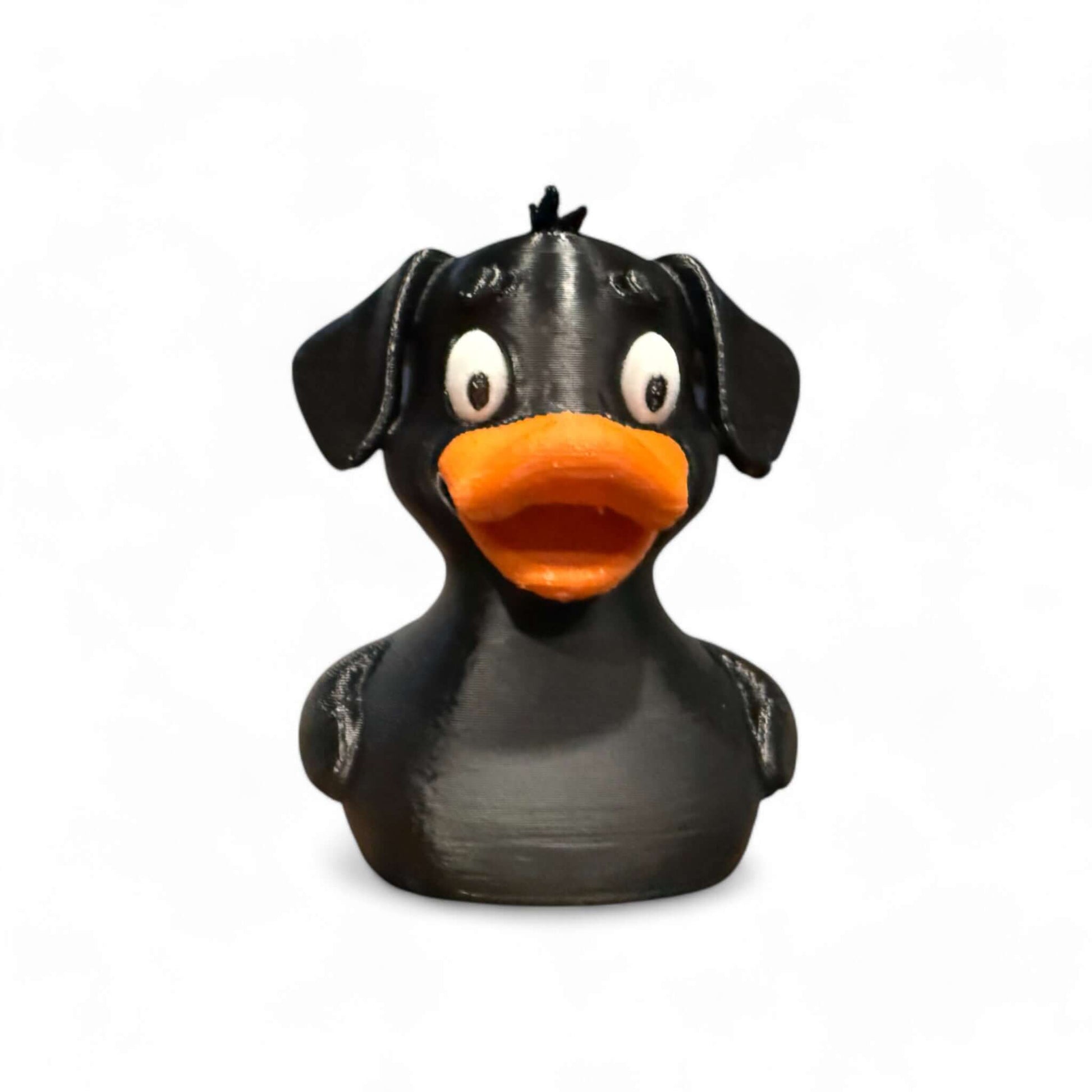 Bentley The Black Lab Duck-myJeepDuck-jeepduck-duckduckjeep-myJeepDuck-duckjeeplife