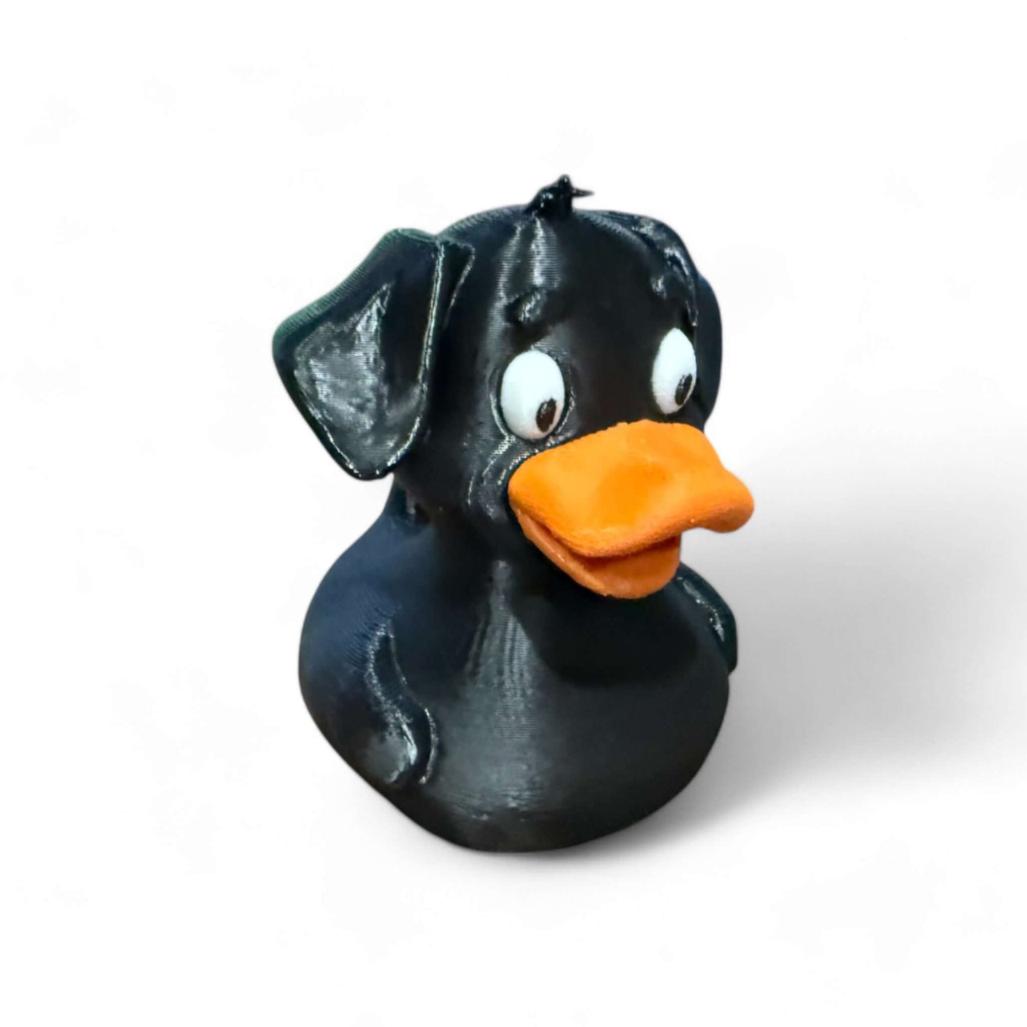 Bentley The Black Lab Duck-myJeepDuck-jeepduck-duckduckjeep-myJeepDuck-duckjeeplife